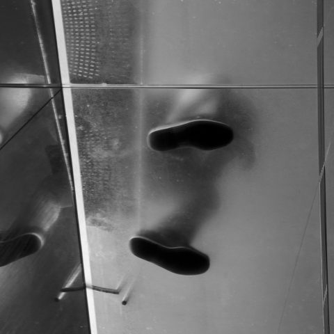 Self Reflexion