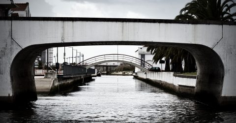The bridge