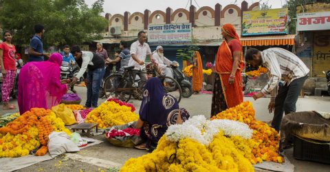 Flower Market