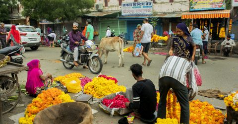 Flower Market