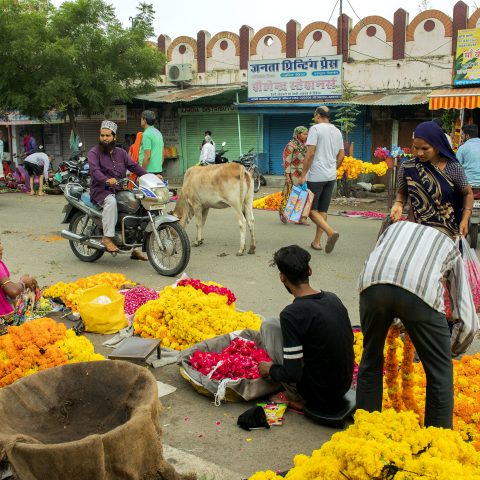 Flower Market