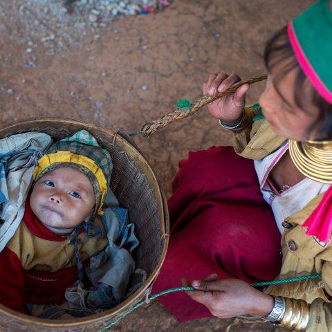 Baby in the Basket