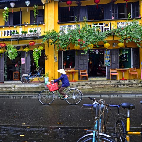 Bicycle street