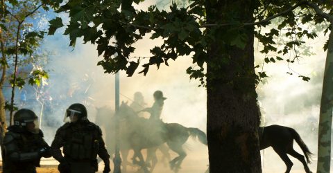 Battle into the woods