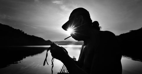 The Light