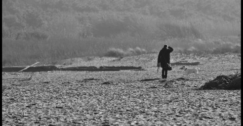 Shadows and Ghosts /6