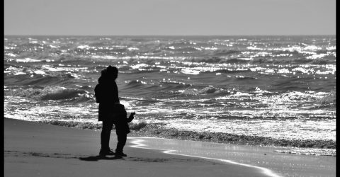 Shadows and Ghosts /5