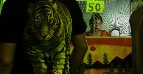 The reverse zoo…