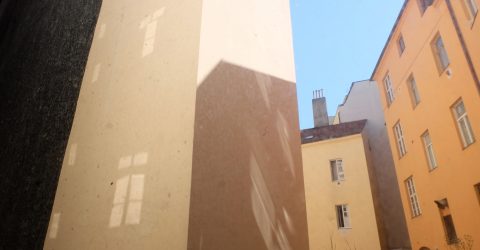 view from the window
