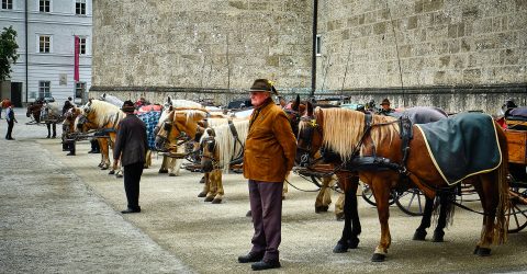 Charioteers Waiting For Customers