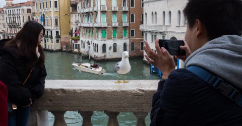 Venice 6