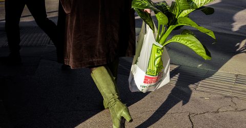 Greens