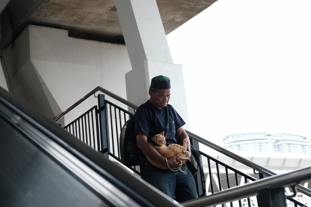 Feline Man - Exibart Street