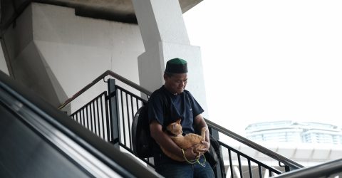 Feline Man