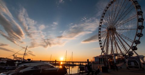 Sometimes all we need to do is to stop and feel what we see.