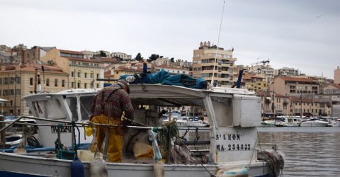 The fisherman