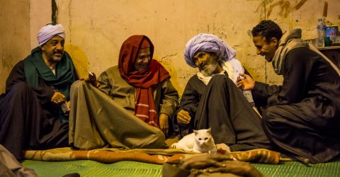 A picture full of simplicity, love and safety for a sheikh of Sufi ways around him people love him