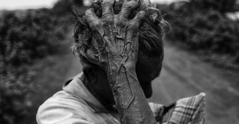 Roots of thought