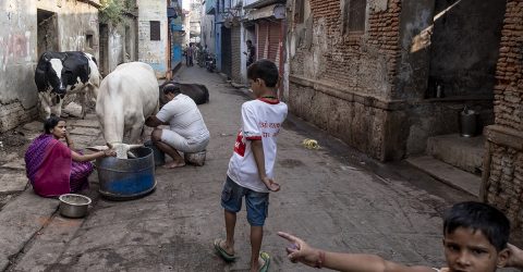 Varanasi Vibes