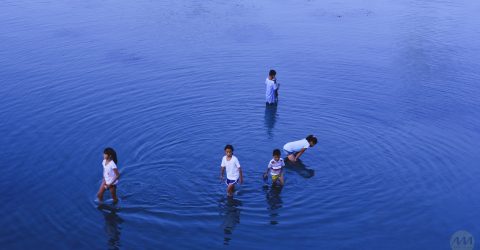 Kids Playing In The Serene Bay