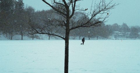 First Snow