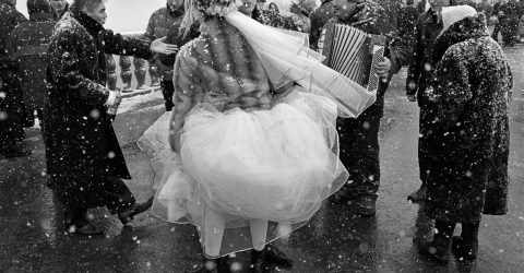 Wedding on Vorobyovy Gory