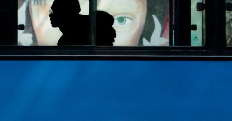 Observer