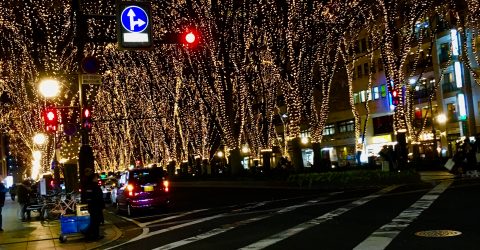 Light of peagent
