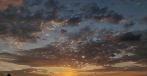 Rising sun