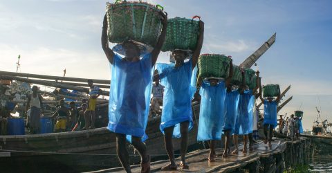 fishery ghat