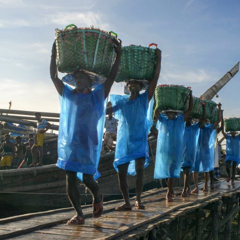 fishery ghat