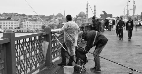 Fishing