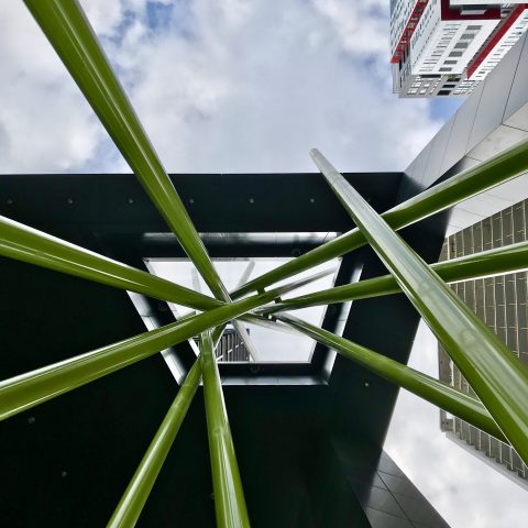 Green Poles Reaching for the Sky