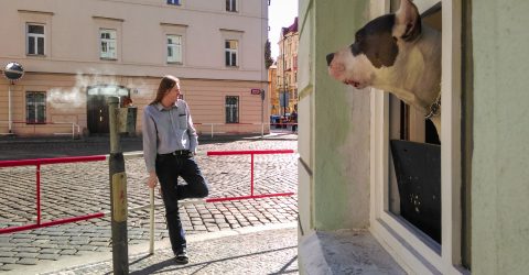 Streetlife of Prague