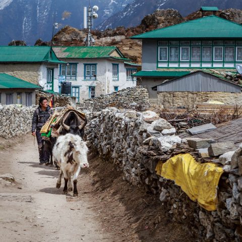Everyday life in the Himalayas