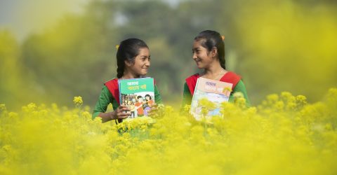 The smiles of the new book