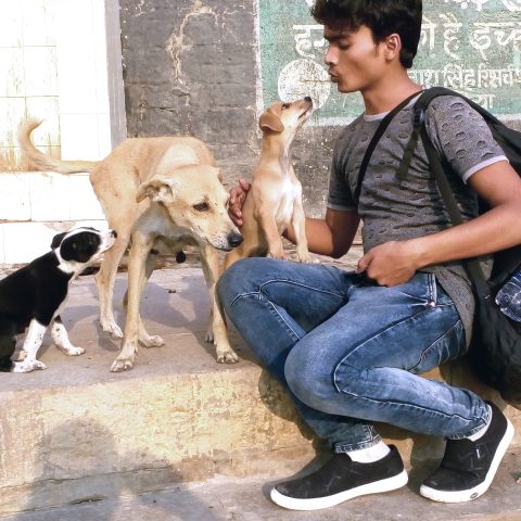 Animal lover