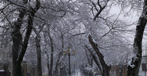 Winter is Here