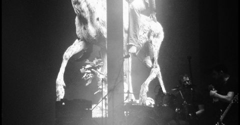 Brett Anderson