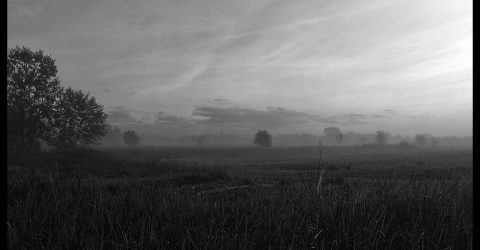 Shadows and Ghosts /8