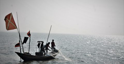 A group of fisherman