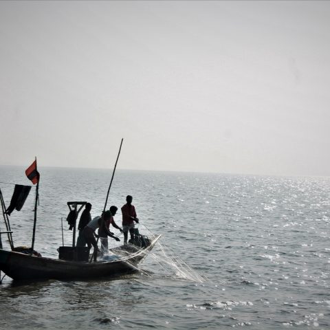 A group of fisherman