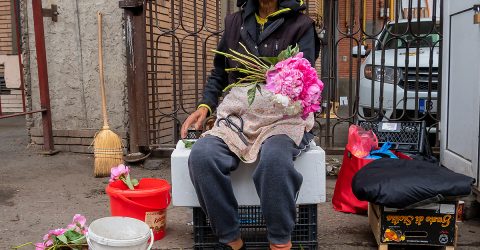 Gypsy flower seller