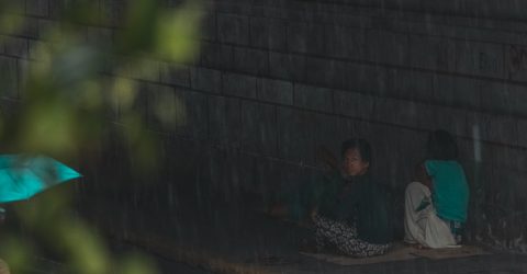 Shelter