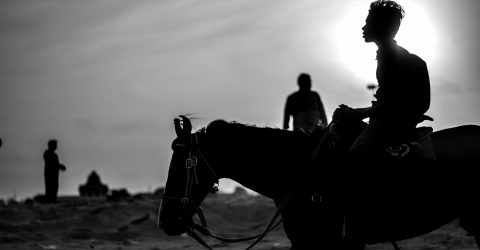 Blessed Equestrian