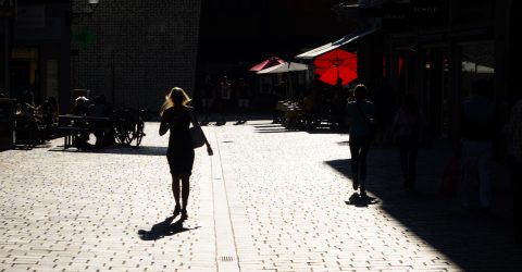 Sun and shade
