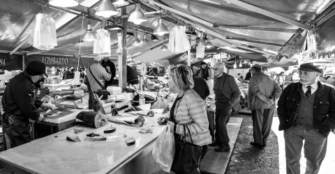 Fish Market stories 01