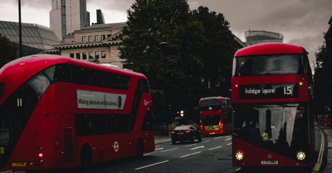 The Bus Stop