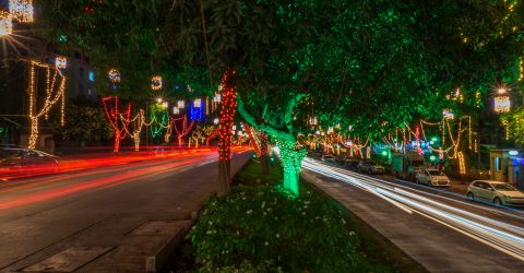 Street of Lights