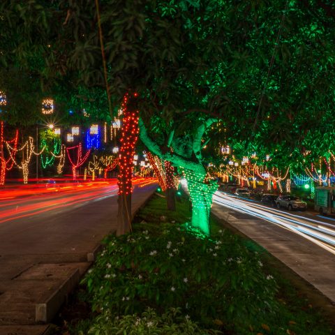 Street of Lights